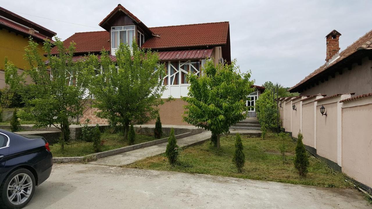 Casele Lena Bed & Breakfast Aldesti  Dış mekan fotoğraf
